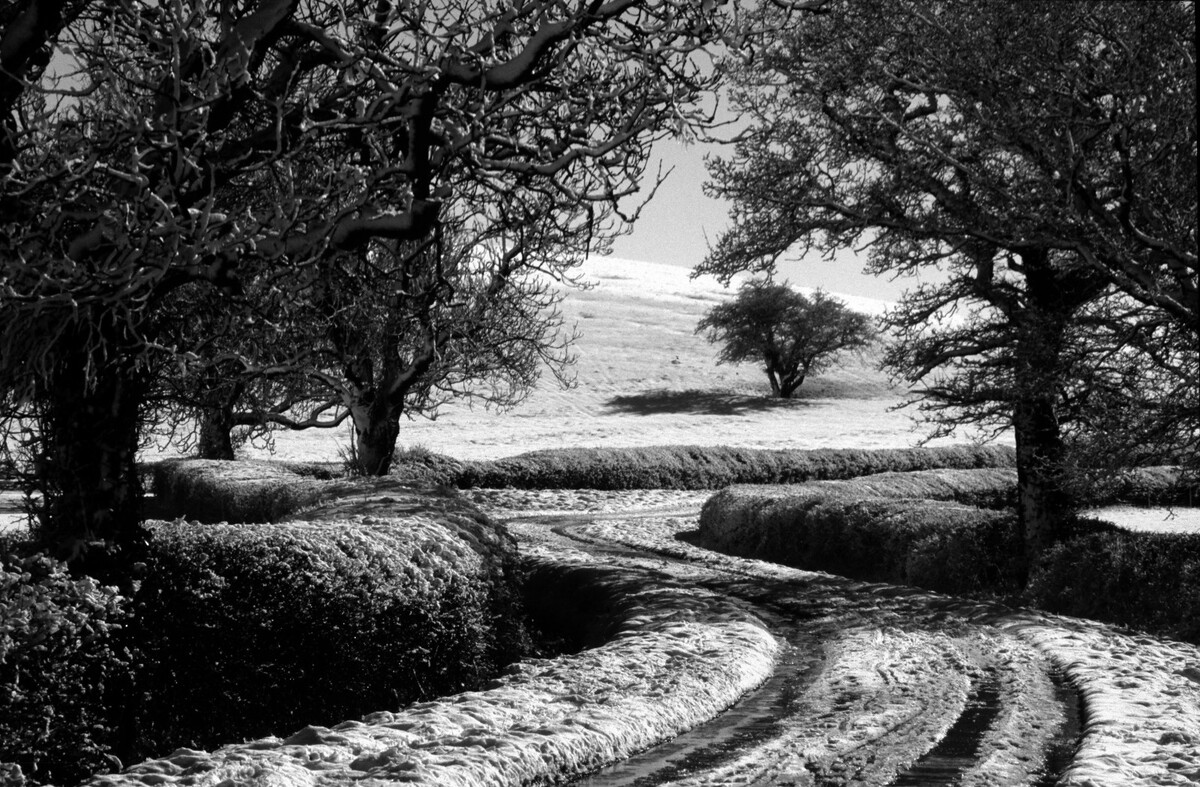 Snowscene Bishops Itchington - Hasje Mousley